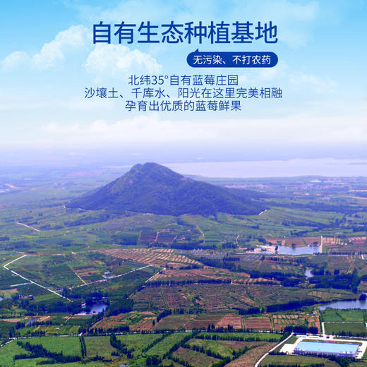 【特惠价】国产沃田蓝蓝莓125g*8盒装（果径18mm）【分仓直发，72小时发货，周末节假日不发货】 商品图3