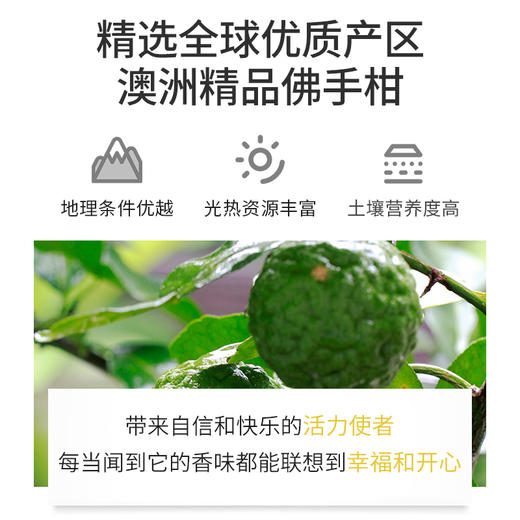 佛手柑精油单方精油 10ml 商品图1
