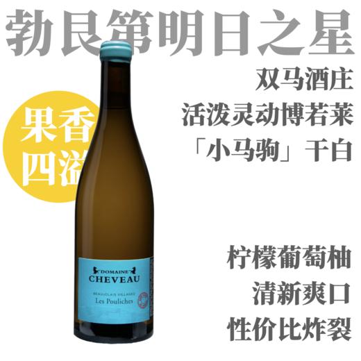 【罕见薄若来干白·超值灵动小马驹】2024 双马酒庄薄若莱小马驹干白 Domaine Cheveau Beaujolais-Villages Les Pouliches Sans Soufre 商品图0
