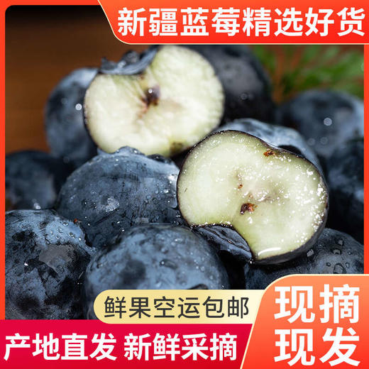 【尝鲜#新疆直发】踏沙寻莓   新疆喀什蓝莓   顺丰空运   下单后3-5天发货 商品图0