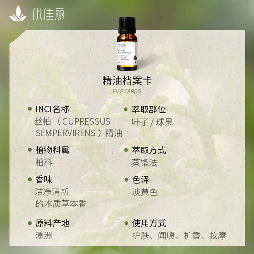 丝柏精油单方精油 10ml 商品图1