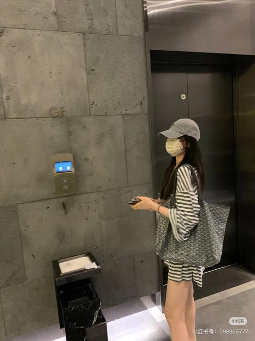 goyard戈雅灰色（原厂皮） 商品图0