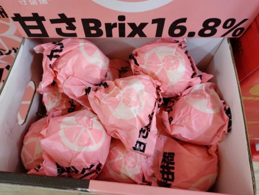 唐氏丑橘礼盒 商品图1