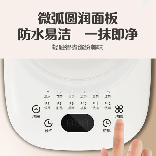 【分仓直发包邮】小句养生壶1.7L  XJS08 商品图2