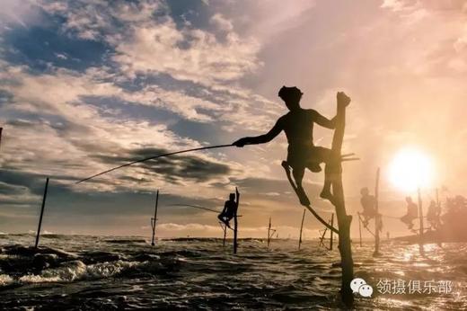 斯里兰卡“鲸出没”丨狮子岩、康提佛牙寺、锡兰茶园、高跷渔夫、加勒古堡、尼甘布鱼市场8天休闲摄影团 商品图7