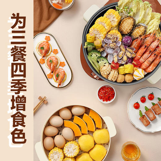 【分仓直发包邮】创维电火锅6L  F227 商品图4