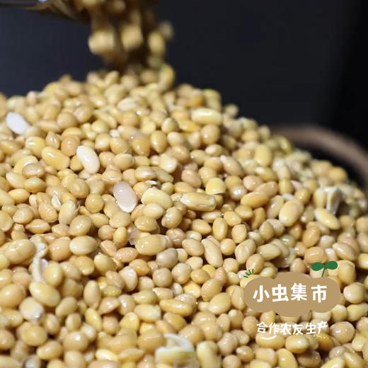 山西生态古法酱油 248ml*2瓶 | 合作农友生产，来自山西太谷，生产者：贺健增 ＆【公平贸易农人定价】 商品图11