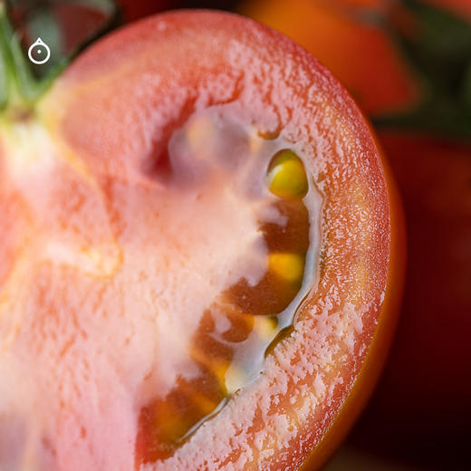 企鹅市集|广东 脆皮布林番茄 家庭装/礼盒装可选 皮脆紧实 爽脆酸甜 浓郁番茄味 商品图4