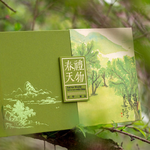 春天礼物【通版 双罐 草绿】35元一套/一件14套 商品图4