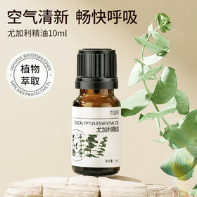 尤加利精油单方精油 10ml