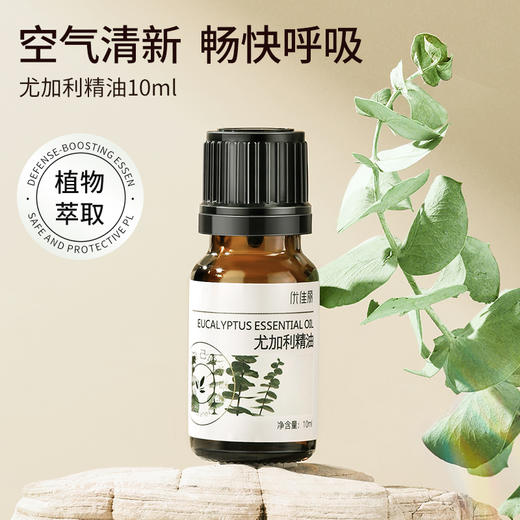 尤加利精油单方精油 10ml 商品图0