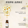 罗马洋甘菊油单方精油10ml 商品缩略图3