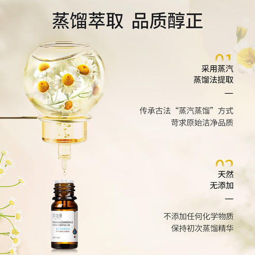 罗马洋甘菊油单方精油10ml 商品图3