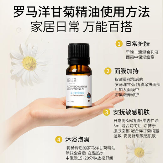 罗马洋甘菊油单方精油10ml 商品图4