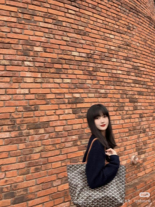 goyard戈雅棕色（原厂皮） 商品图1