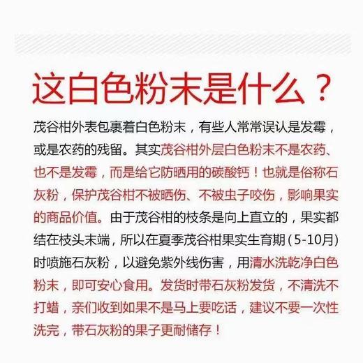[最农公社]广西武鸣茂谷柑3斤5斤9斤中果大果当季新鲜大果石灰脏脏柑橘 商品图2