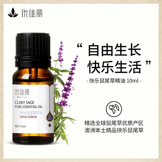 快乐鼠尾草精油单方精油 10ml 商品图1