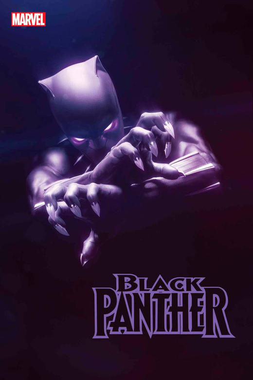 黑豹 Black Panther 商品图14