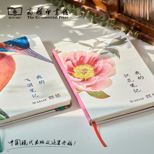 科普手账本  飞羽/识花 【商务印书馆涵芬文创】 商品图1