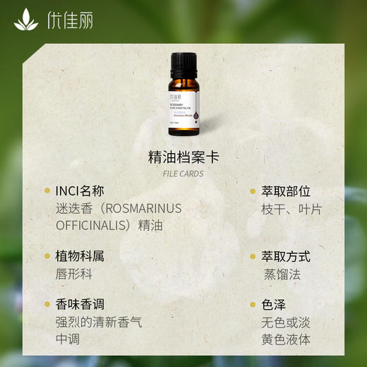 迷迭香精油单方精油 10ml 商品图2
