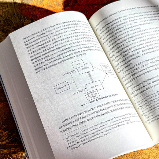 对接科技发展和劳动力市场需求 英国职业技术教育变革研究 商品图10
