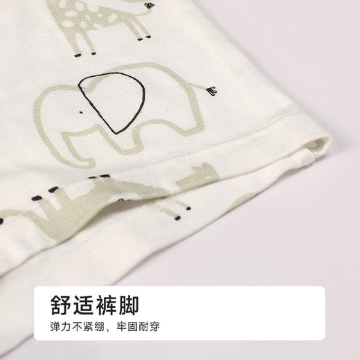 都市丽人纤柔绵平角男童内裤人棉平角裤JKHB05 商品图5