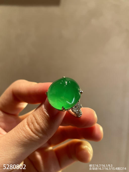 玻璃种艳绿蛋面戒指【5280802】具体价格微信咨询 商品图0