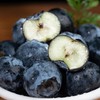 【顺丰空运】新疆喀什蓝莓 当季鲜果踏沙寻莓 香甜多汁 果肉细腻 健康营养 - AWJM 商品缩略图3