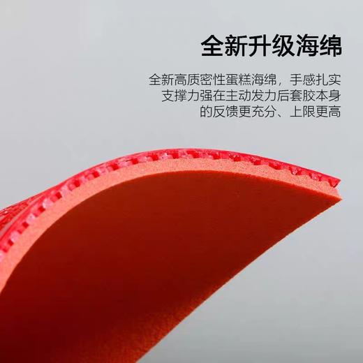 Yasaka亚萨卡飞龙活力版乒乓球胶皮专业高弹旋转控制型乒乓球涩性反胶套胶 商品图2