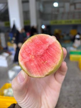 盐芭草莓红心芭乐