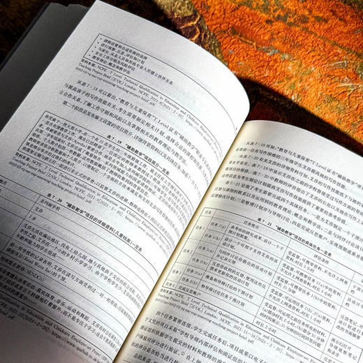 对接科技发展和劳动力市场需求 英国职业技术教育变革研究 商品图12