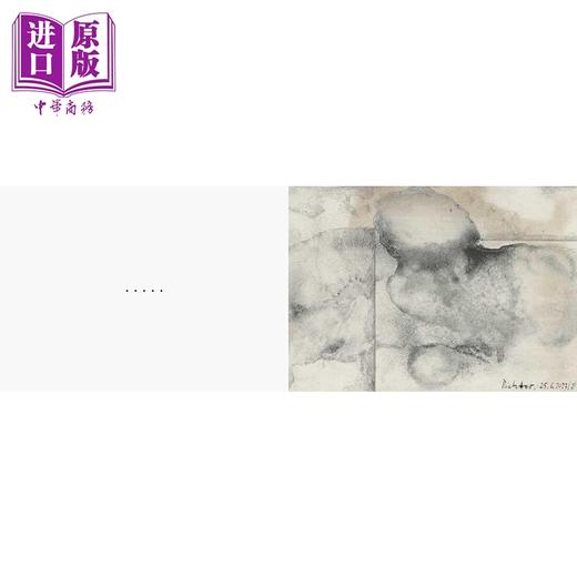 预售 【中商原版】Gerhard Richter: Foricano 进口艺术 格哈德 里希特 David Zwirner Books 商品图4