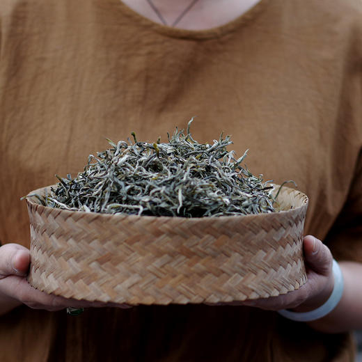 【春茶尝鲜】2026年头春大树弯弓纯料散茶50克生茶盒装 商品图1