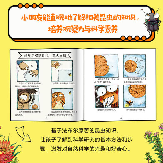 《小小昆虫记》全10册 3-6岁 500+张生动好玩的漫画 文字简洁生动 街接幼儿阅读桥梁 培养孩子观察力与科学素养 引导孩子思考、热爱和尊重生命 商品图4