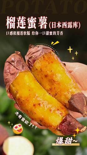 【老爸的梦想】生态榴莲蜜薯（日本西露库）