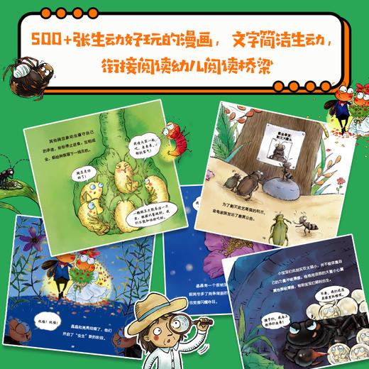 《小小昆虫记》全10册 3-6岁 500+张生动好玩的漫画 文字简洁生动 街接幼儿阅读桥梁 培养孩子观察力与科学素养 引导孩子思考、热爱和尊重生命 商品图2