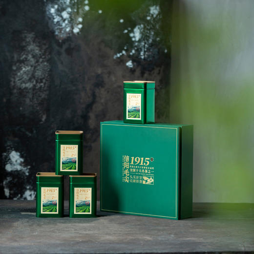 1915【毛尖 四罐】38元一套/一件14套 商品图5