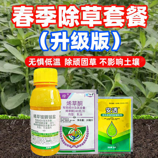春季除草方案果园精草铵膦铵盐杀水花生牛筋草小飞蓬专用除草剂 商品图2