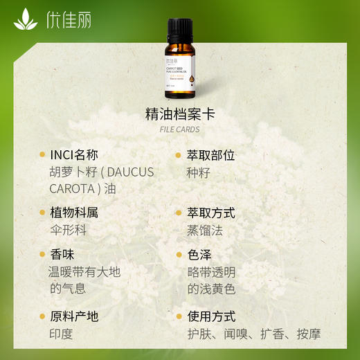 胡萝卜籽精油单方精油 10ml 商品图3