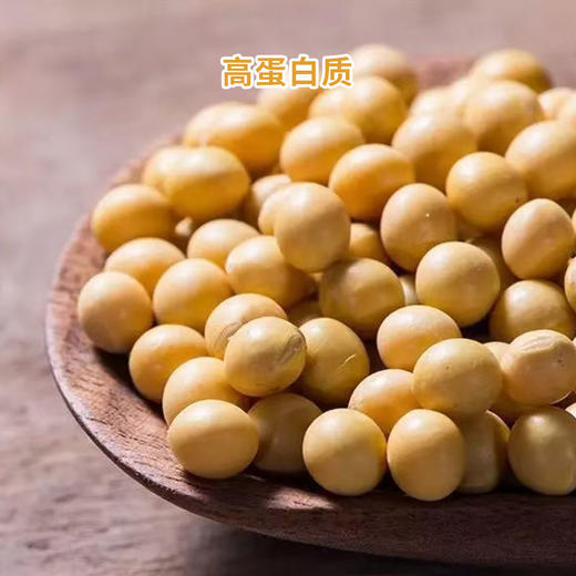 梓盟有机豆腐皮、腐竹、豆腐丝 商品图2