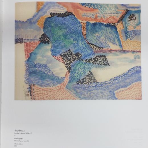 《山川·重构》林顺文作品集-签名盖章版 商品图3
