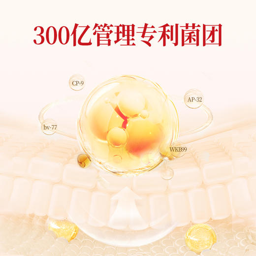 【果壳专属福利】奇美研新品净燃塑益生菌小金条+膳食纤维小绿条即食固体饮料食品【适合3+】 商品图9