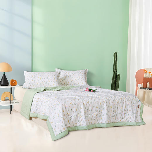【多样屋专柜】雅鹿抑菌全棉印花夏被--米漾/200*230CM 商品图3