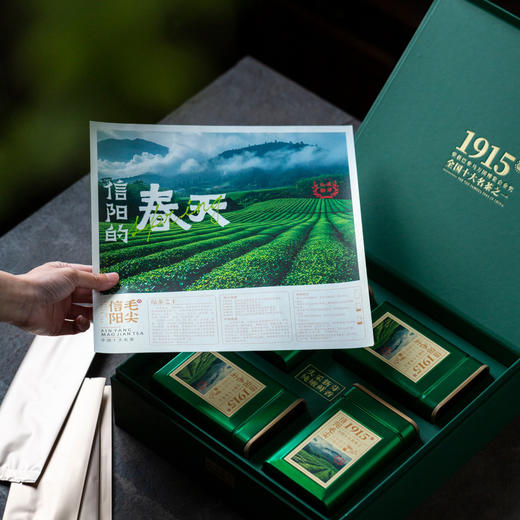 1915【毛尖 四罐】38元一套/一件14套 商品图4