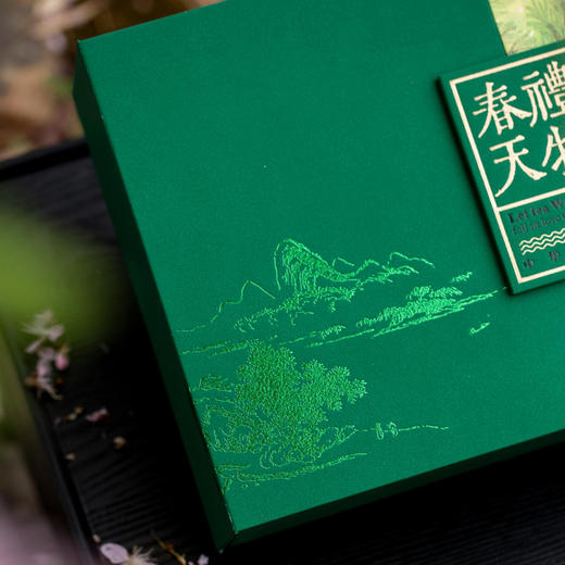 春天礼物【通版 双罐 深绿】35元一套/一件14套 商品图7