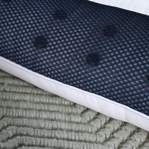 【多样屋专柜】雅鹿 决明子磁疗明目枕 白色 30*50cm 商品图4