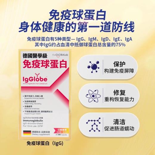 德国THE GLOBALAB lgGlobe免疫球蛋白胶囊30粒牛初乳铁蛋白 商品图1