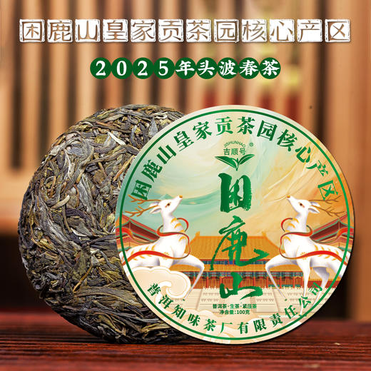 2025春茶 吉顺号困鹿山春茶乔木茶醇料普洱茶生茶饼100克 商品图5