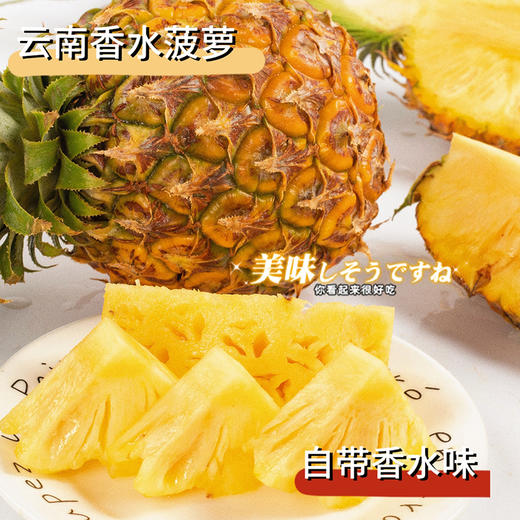 【分仓直发包邮】云南河口香水菠萝中果3斤（约3个，中果单果：400-650克）（赠品：菠萝夹1个） 商品图0