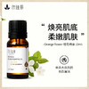 橙花精油单方精油 10ml 商品缩略图0